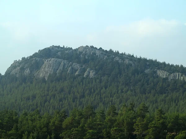 Nevoeiro que cobre as florestas de montanha — Fotografia de Stock