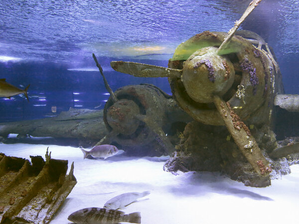 Утопленные винтажные самолеты на дне моря
