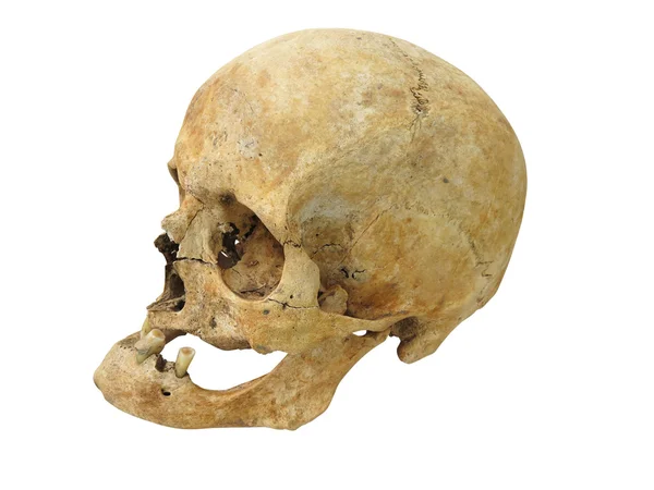 Oude archeologische vondst menselijke schedel schedel geïsoleerd op wit — Stockfoto