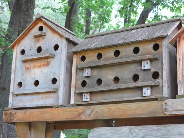 Oude houten starling nesten vakken vogel huis in bos — Stockfoto