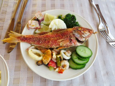 Balık ve deniz ürünleri-midye kalamar salatalık pişmiş