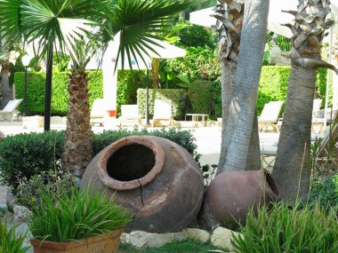 Güzel topraklar, palmiye ağaçları ve lüks bir tatil köyünde güneşlenirler.  