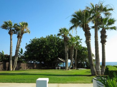 Güzel topraklar, palmiye ağaçları ve lüks bir tatil köyünde güneşlenirler.