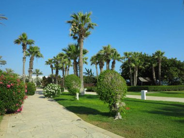 Güzel topraklar, palmiye ağaçları ve lüks bir tatil köyünde güneşlenirler.