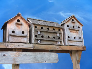 Eski ahşap starling üzerinde mavi gökyüzü kutuları kuş evi iç içe geçirme