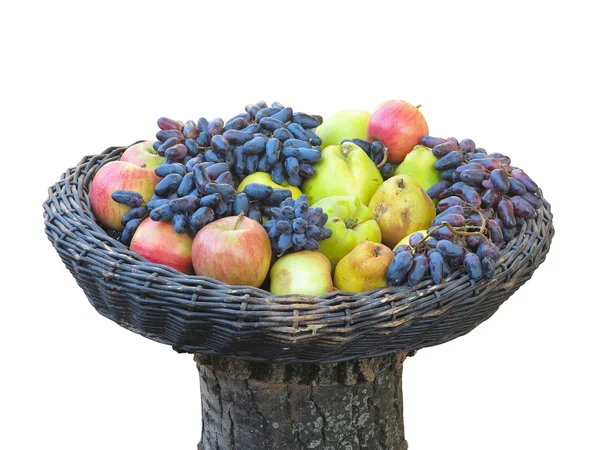 Druiven, appelen, peren, kweepeer in mand op boomstam geïsoleerd — Stockfoto
