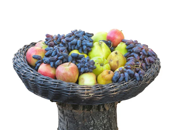 Grapes, apples, pears, quince in basket on tree trunk isolated — Stock Photo, Image