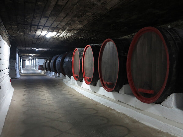03.10.2015, CRICOVA, MOLDOVA Old traditional wine cellar with bi