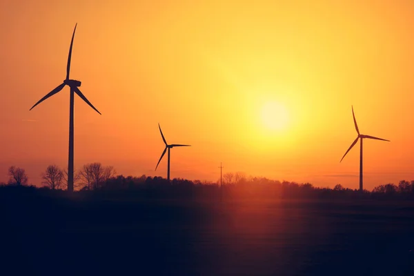 Molinos de viento y puesta de sol . —  Fotos de Stock