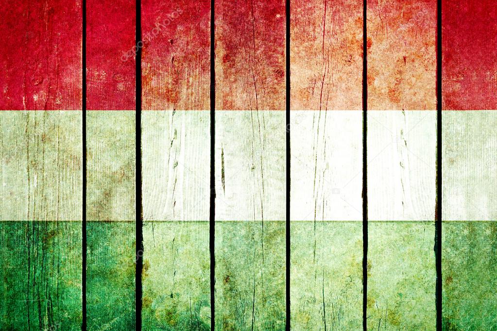 Hungary wooden grunge flag.