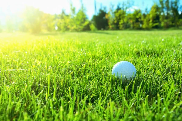 Golf oyun kavramını. — Stok fotoğraf