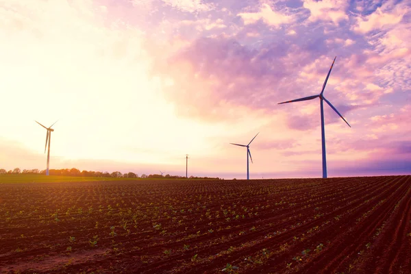 Windmühlen auf dem Feld bei Sonnenuntergang im Sommer. — Stockfoto