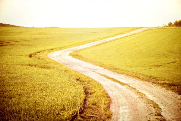 Sonhar em realidade . — Fotografia de Stock