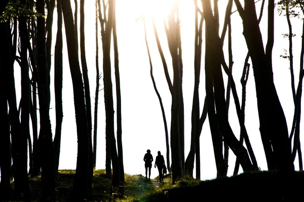 Gente en el oscuro bosque misterioso . — Foto de Stock