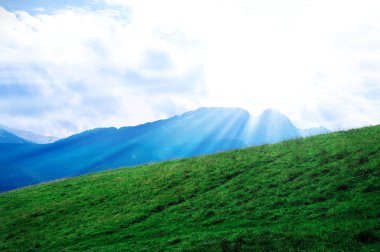 Doğa.