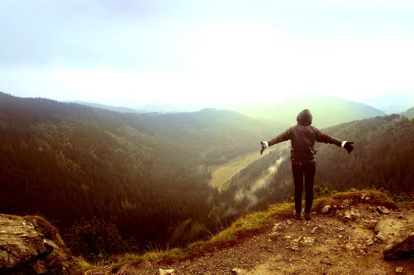 Libertad en las montañas . —  Fotos de Stock