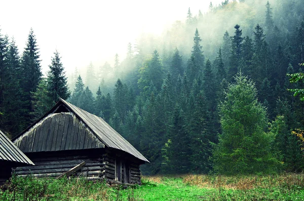 Doğa.