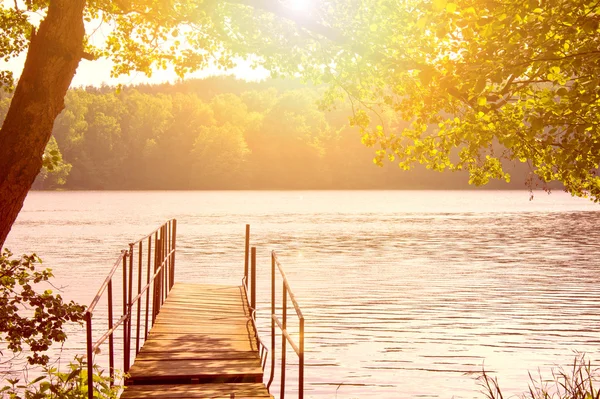 Lago e alberi . — Foto Stock