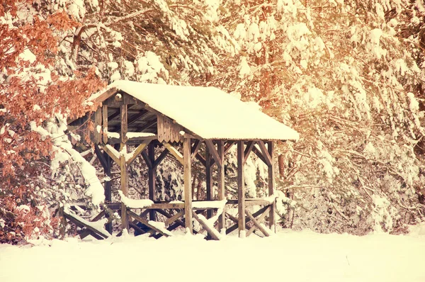 Konzeptionelles Winterbild. — Stockfoto