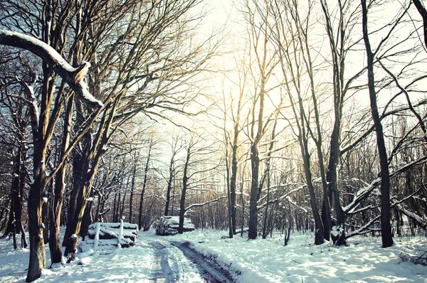 Winter conceptual image. — Stock Photo, Image
