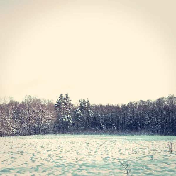 Зимний концептуальный образ . — стоковое фото