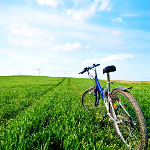 Sport and nature at summer. — Stock Photo, Image