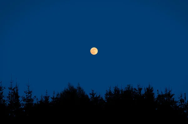 Ночная сцена с луной . — стоковое фото