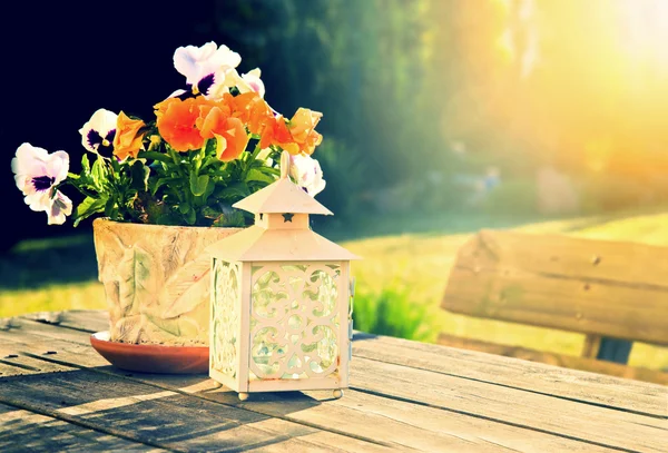 Natuur in de zomer. — Stockfoto