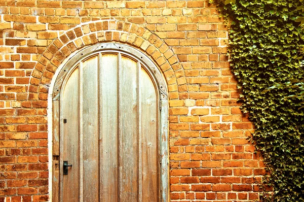 Oude deur. — Stockfoto