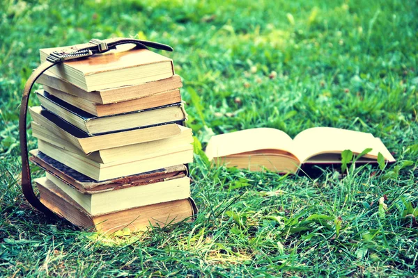 Kitaplar. Eğitim ve okul kavramı geri.
