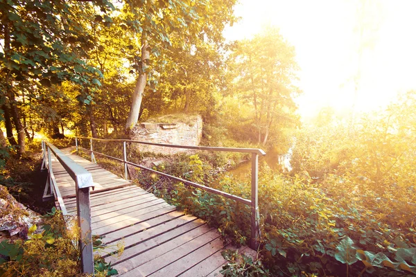 Paesaggio autunnale . — Foto Stock