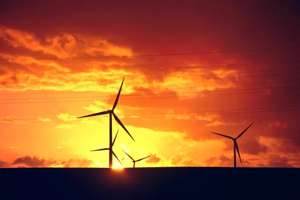 Windmühlen. alternative Energien. — Stockfoto