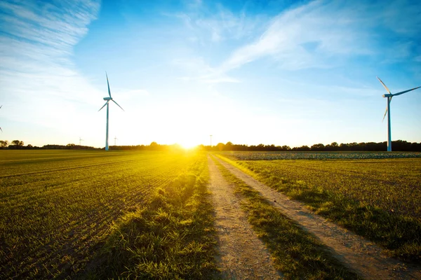 Windmühlen auf dem Feld bei Sonnenuntergang. — Stockfoto