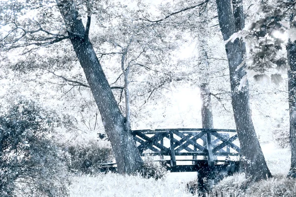 Natur Winterlandschaft. — Stockfoto