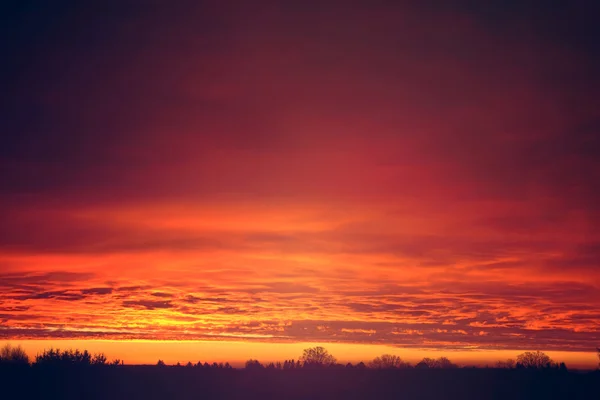 Vörös naplemente felhők felett fák. — Stock Fotó