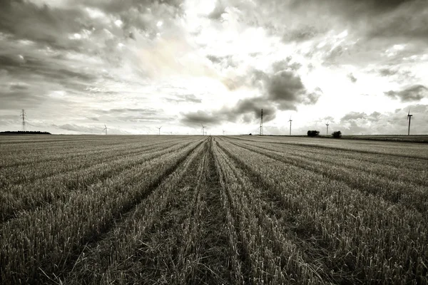 Svarta och vita landsbygdens landskap. — Stockfoto