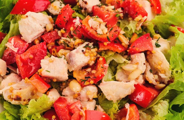 Fresh salad with tomato salad and meat — Stock Photo, Image