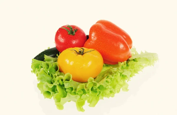 Tomate rojo y ensalada verde — Foto de Stock