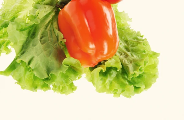 Röd tomat och grönsallad — Stockfoto