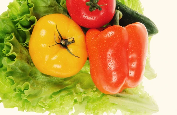 Tomate vermelho e salada verde — Fotografia de Stock