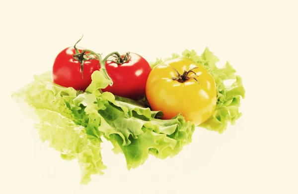 Tomate rouge et salade verte — Photo