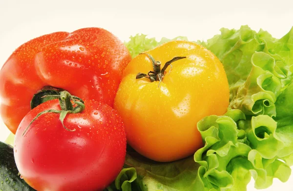 Rode tomaten en groene salade — Stockfoto