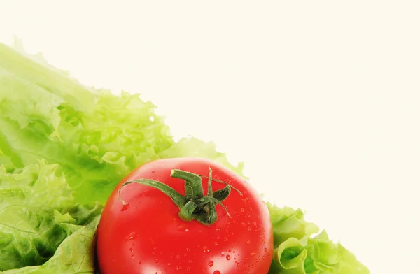 Tomate vermelho e salada verde — Fotografia de Stock