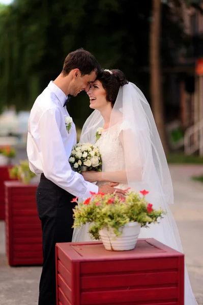 Felice sposa e lo sposo sul loro matrimonio — Foto Stock