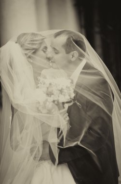 Mutlu gelin ve damat düğünlerinde