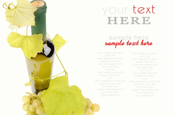 Yeşil üzüm yaprağı ile izole şarap şişesi — Stok fotoğraf