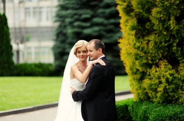 Feliz novia y novio en su boda — Foto de Stock