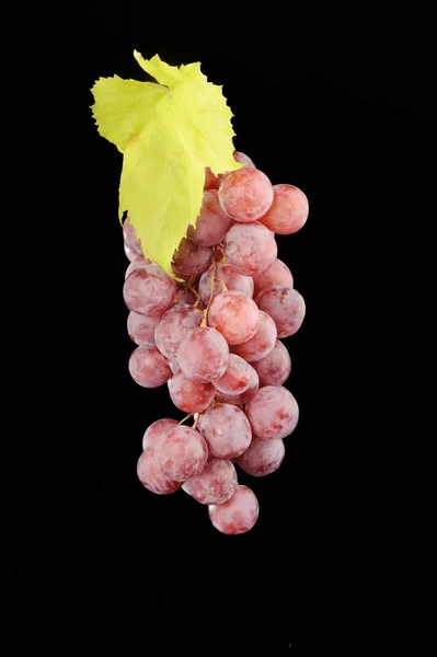 Ramo de uvas rojas aisladas en negro —  Fotos de Stock