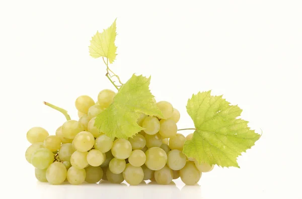 Branch of green grapes isolated on white — Stock Photo, Image