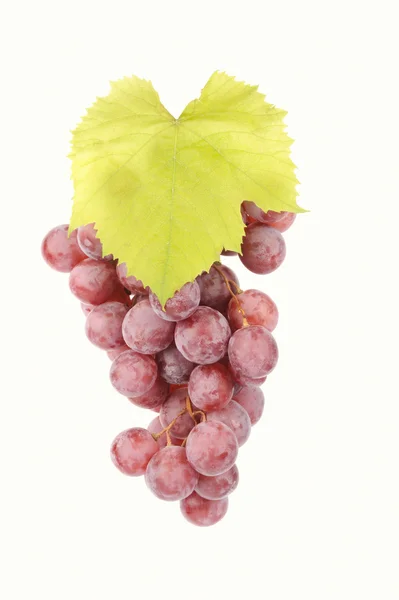 Branch of red  grapes isolated on white — Stock Photo, Image
